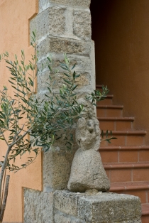 Scultura sacra e l'olivo