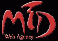 tmd web agency_siti web_posizionamento su google e motori di ricerca, internet, telematica - servizi gaeta (lt)