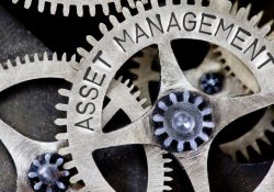 Gli strumenti e le caratteristiche dell’asset management