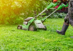 Tecnica di taglio mulching: intervista a Grin