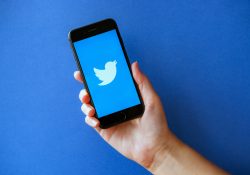 Twitter da oggi è un social in abbonamento? Scopri Twitter Blue
