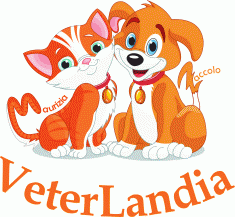 ambulatorio veterinario veterlandia, veterinaria - ambulatori e laboratori palermo (pa)