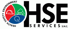 HSE SERVICES 