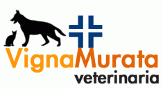 associazione veterinaria vigna murata, veterinaria - ambulatori e laboratori roma (rm)