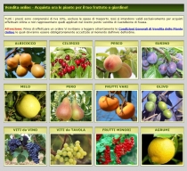 vendita online piante da frutto