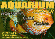 aquarium center - trento, acquari ornamentali ed accessori gardolo (tn)