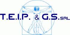 T.E.I.P. & G.S. TECNOLOGIE EDILI E INDUSTRIALI IN PROGRESS & GLOBAL SERVICE S.R.L.