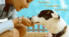 pensione amatoriale per cani gatti e altri animali, animali domestici - allevamento e addestramento roma (rm)