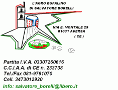 L'AGRO BUFALINO DI SALVATORE BORELLI