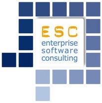 ENTERPRISE SOFTWARE CONSULTING