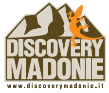 DISCOVERY MADONIE S.A.S. 